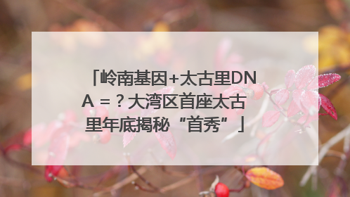 岭南基因+太古里DNA =？大湾区首座太古里年底揭秘“首秀”