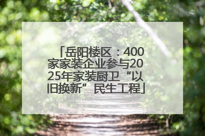 岳阳楼区：400家家装企业参与2025年家装厨卫“以旧换新”民生工程