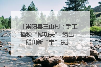崇阳县三山村：手工插秧“慢功夫” 绣出稻田新“丰”景