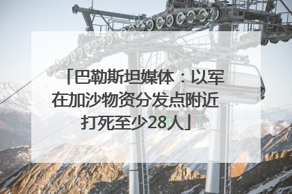 巴勒斯坦媒体：以军在加沙物资分发点附近打死至少28人