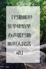 巴勒斯坦驻华使馆举办声援巴勒斯坦人民活动