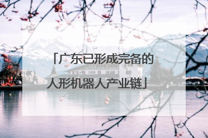 广东已形成完备的人形机器人产业链