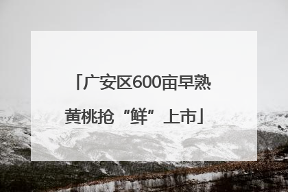 广安区600亩早熟黄桃抢“鲜”上市