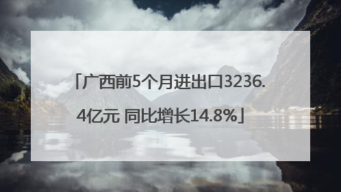 广西前5个月进出口3236.4亿元 同比增长14.8%