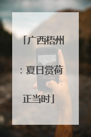 广西梧州：夏日赏荷正当时