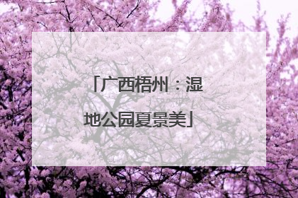 广西梧州：湿地公园夏景美