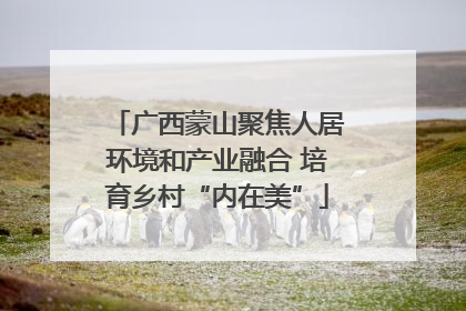 广西蒙山聚焦人居环境和产业融合 培育乡村“内在美”