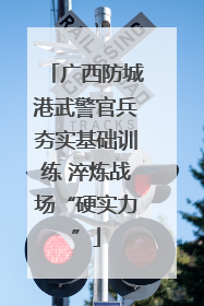 广西防城港武警官兵夯实基础训练 淬炼战场“硬实力”