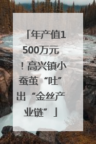 年产值1500万元！高兴镇小蚕茧“吐”出“金丝产业链”
