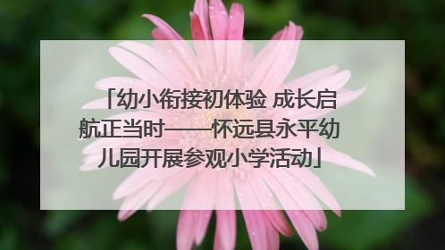 幼小衔接初体验 成长启航正当时——怀远县永平幼儿园开展参观小学活动