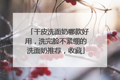 干皮洗面奶哪款好用，洗完脸不紧绷的洗面奶推荐，收藏