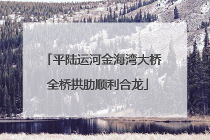 平陆运河金海湾大桥全桥拱肋顺利合龙