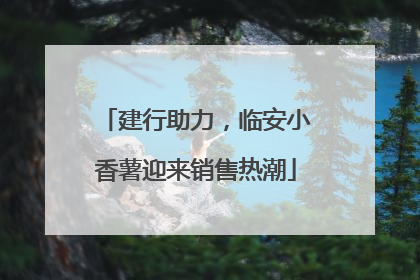 建行助力，临安小香薯迎来销售热潮