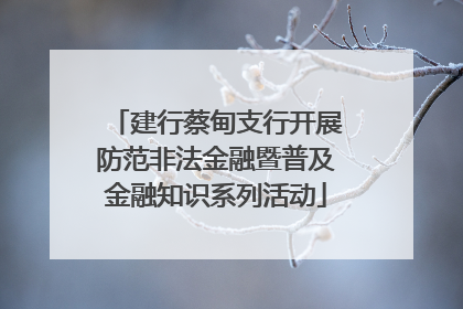 建行蔡甸支行开展防范非法金融暨普及金融知识系列活动