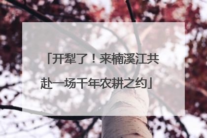 开犁了！来楠溪江共赴一场千年农耕之约