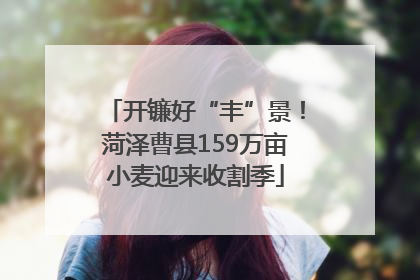 开镰好“丰”景！菏泽曹县159万亩小麦迎来收割季