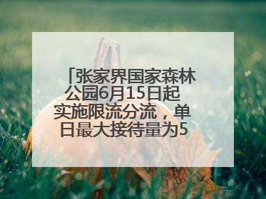 张家界国家森林公园6月15日起实施限流分流，单日最大接待量为5.3万人