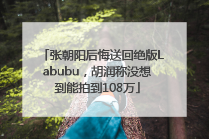 张朝阳后悔送回绝版Labubu，胡润称没想到能拍到108万