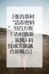 张谷英村“活态密码”引百万客！古村焕新，家风+科技成文旅融合新爆点