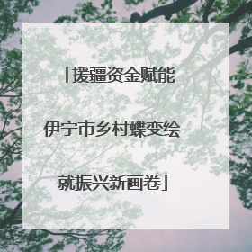 援疆资金赋能 伊宁市乡村蝶变绘就振兴新画卷