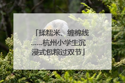 揉糯米、缠棉线……杭州小学生沉浸式包粽过双节