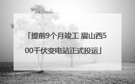 提前9个月竣工 眉山西500千伏变电站正式投运