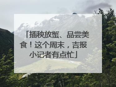 插秧放蟹、品尝美食！这个周末，吉报小记者有点忙