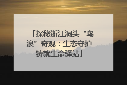 探秘浙江洞头“鸟浪”奇观：生态守护铸就生命驿站