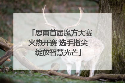 思南首届魔方大赛火热开赛 选手指尖绽放智慧光芒