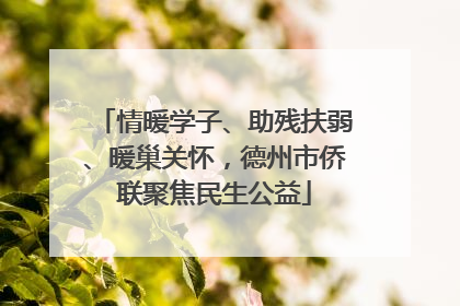 情暖学子、助残扶弱、暖巢关怀，德州市侨联聚焦民生公益
