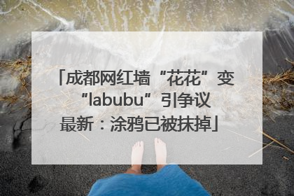 成都网红墙“花花”变“labubu”引争议 最新：涂鸦已被抹掉