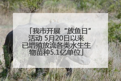 我市开展“放鱼日”活动 5月20日以来已增殖放流各类水生生物苗种5.1亿单位