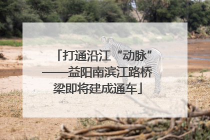 打通沿江“动脉”——益阳南滨江路桥梁即将建成通车