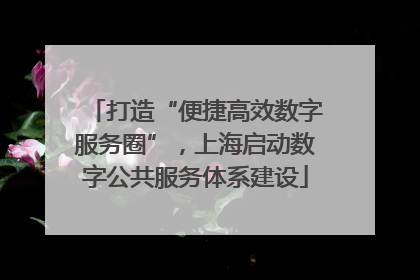 打造“便捷高效数字服务圈”，上海启动数字公共服务体系建设
