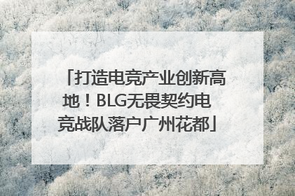 打造电竞产业创新高地！BLG无畏契约电竞战队落户广州花都