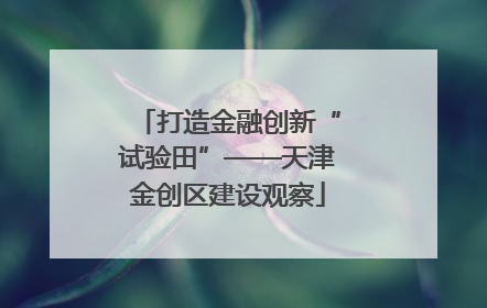 打造金融创新“试验田”——天津金创区建设观察