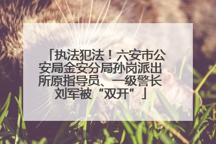 执法犯法！六安市公安局金安分局孙岗派出所原指导员、一级警长刘军被“双开”