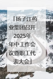 扬子江药业集团召开2025年年中工作会议暨职工代表大会