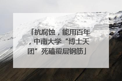 抗腐蚀，能用百年，中南大学“博士天团”死磕覆层钢筋