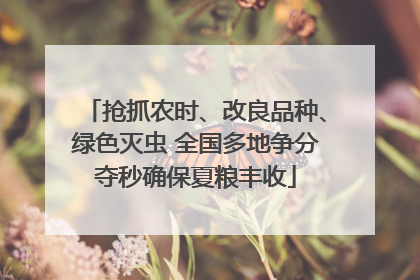 抢抓农时、改良品种、绿色灭虫 全国多地争分夺秒确保夏粮丰收