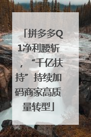 拼多多Q1净利腰斩，“千亿扶持”持续加码商家高质量转型