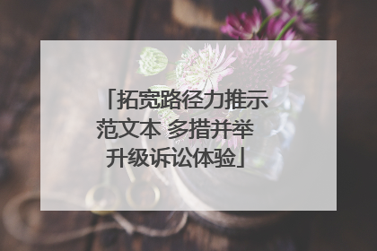 拓宽路径力推示范文本 多措并举升级诉讼体验