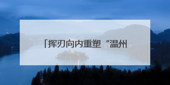 挥刃向内重塑“温州模式” 老工业基地如何从“新”出发？