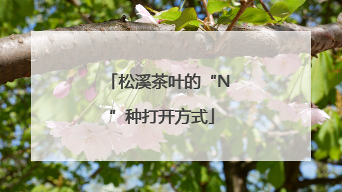松溪茶叶的“N”种打开方式