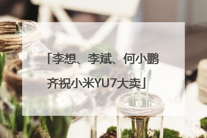 李想、李斌、何小鹏齐祝小米YU7大卖