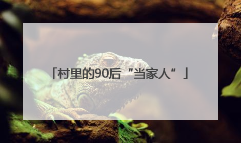 村里的90后“当家人”