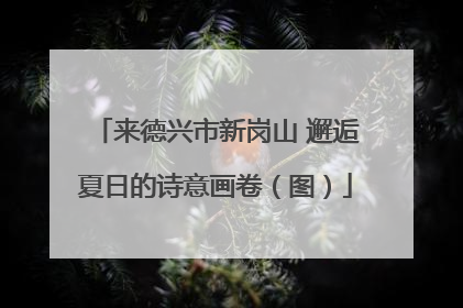 来德兴市新岗山 邂逅夏日的诗意画卷（图）