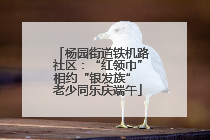 杨园街道铁机路社区：“红领巾”相约“银发族” 老少同乐庆端午