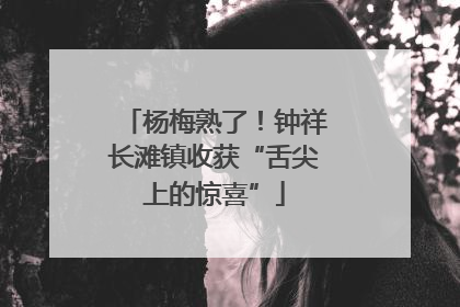 杨梅熟了！钟祥长滩镇收获“舌尖上的惊喜”