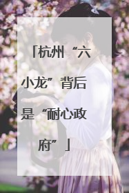 杭州“六小龙”背后是“耐心政府”